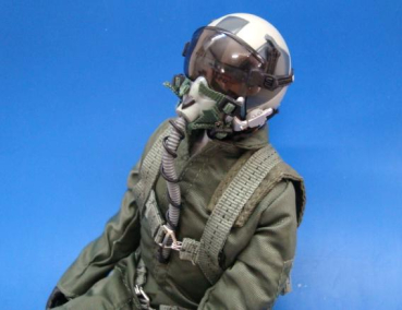 Alternativ Pilot für Black Horse Viper mit originalgetreuem Aussehen